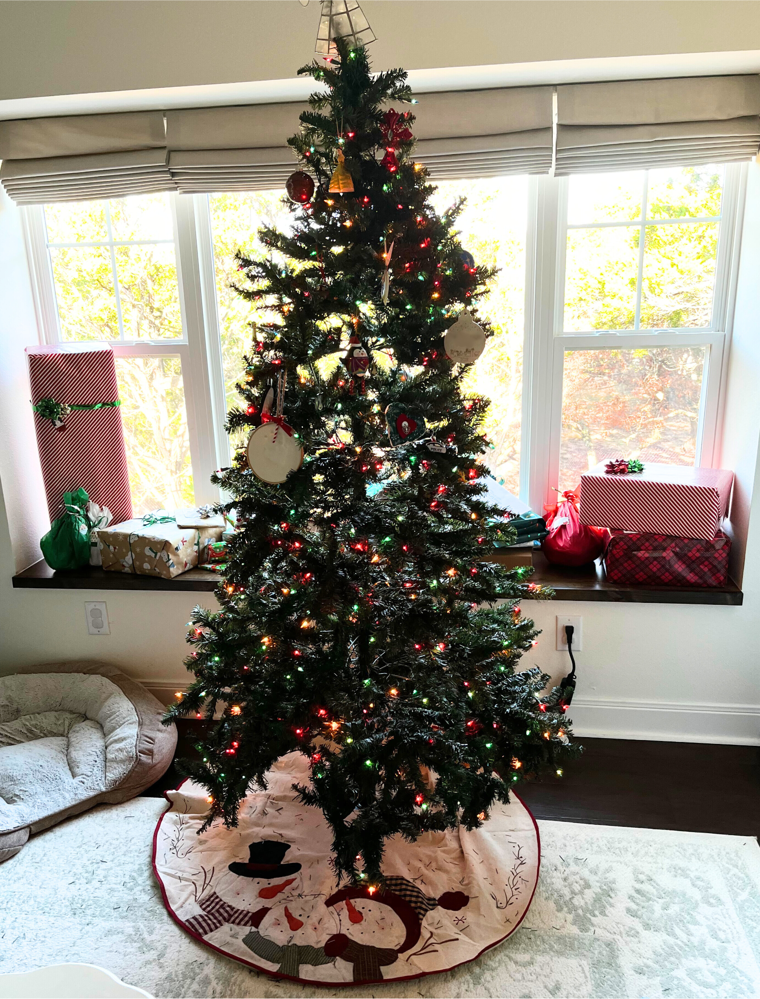 Christmas 2025 Holiday (Amazon) Gift Guide