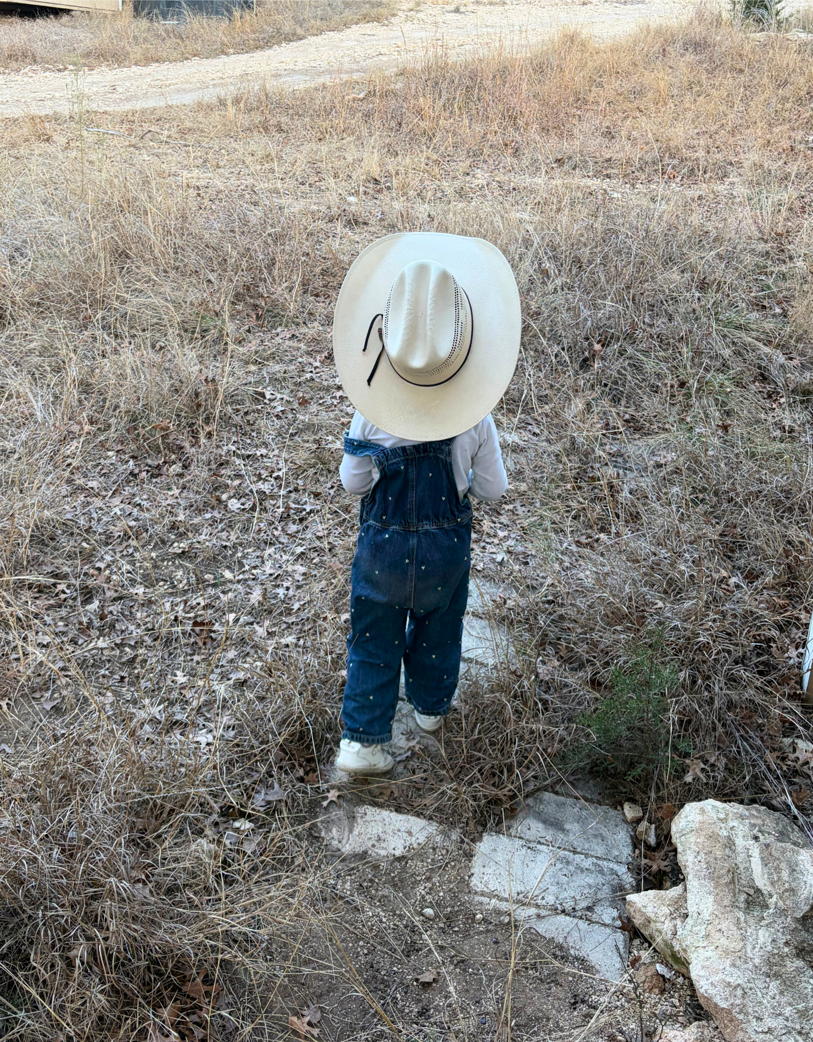 Homesteading From Anywhere